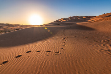 【湛江疫情最新消息今天新增病例，湛江疫情最新数据】